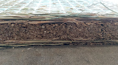 柔道畳復元プロジェクト2023